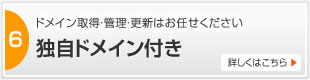 独自ドメイン付き